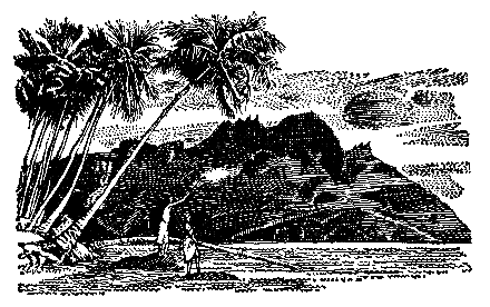 Грот афалины (илл. В. Барибы) - pic_2.png