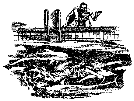 Грот афалины (илл. В. Барибы) - pic_8.png