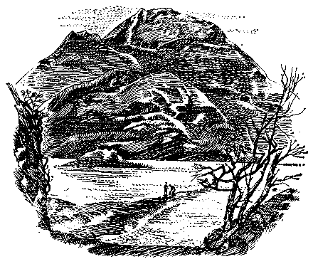 Грот афалины (илл. В. Барибы) - pic_20.png