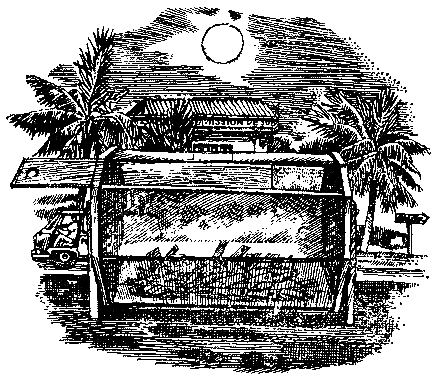 Грот афалины (илл. В. Барибы) - pic_25.png