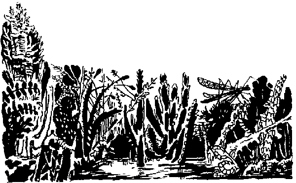 Триста миллионов лет спустя - pic_12.png