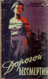  Струтинский Николай Владимирович - Дорогой бессмертия