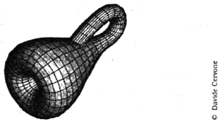 Амариллис день и ночь - pic_1.png