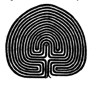 Амариллис день и ночь - pic_3.png