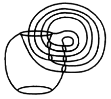 Амариллис день и ночь - pic_4.png