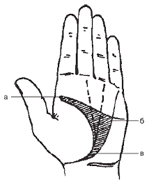 Судьба на ладони. Хиромантия - pic_21.png