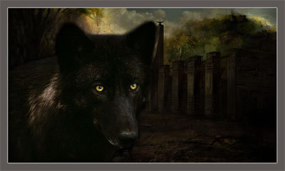 Изгнанник вечности (полная версия) (СИ) - image025.jpg