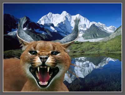 Изгнанник вечности (полная версия) (СИ) - image041.jpg