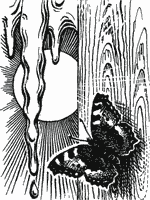 Мой мир - _2_1.png