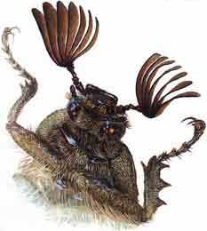 Мой мир - _2_2.jpg