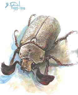 Мой мир - _2_44.jpg