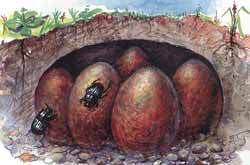 Мой мир - _2_54.jpg