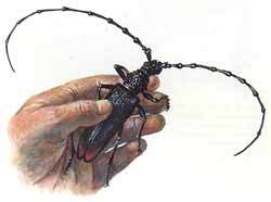 Мой мир - _2_58.jpg