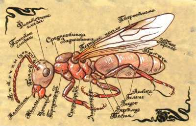 Мой мир - _2a_4.jpg