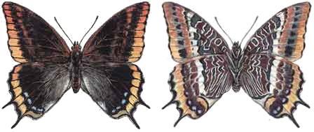 Мой мир - _2a_10.jpg