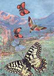 Мой мир - _2a_8.jpg