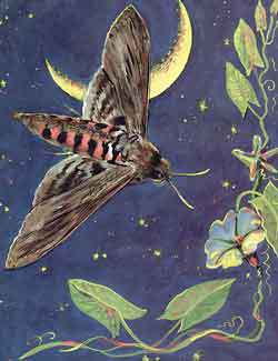 Мой мир - _2a_9.jpg