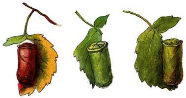 Мой мир - _3_22.jpg