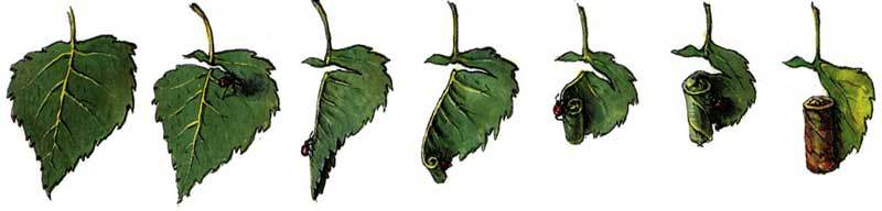 Мой мир - _3_23.jpg