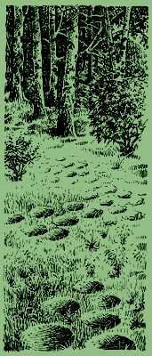 Мой мир - _3_30.png