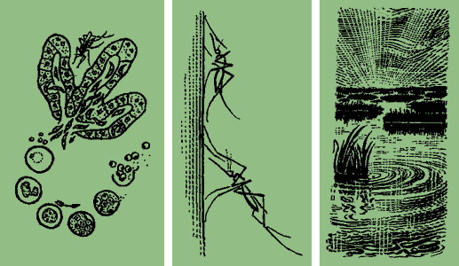 Мой мир - _3_37.png