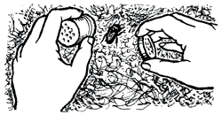 Мой мир - _3a_1.png