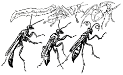 Мой мир - _3a_12.png