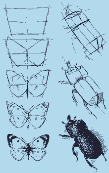 Мой мир - _3a_25.png