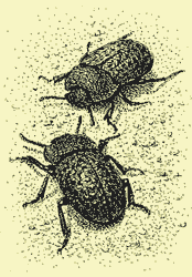 Мой мир - _4_12.png