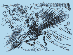 Мой мир - _4_13.png