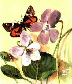 Мой мир - _4_89.jpg