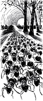 Мой мир - _4a_3.png