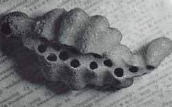 Мой мир - _5_8.jpg