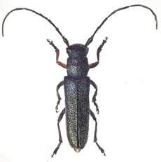 Мой мир - _5a_20.jpg