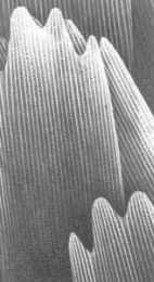 Мой мир - _5a_24.jpg