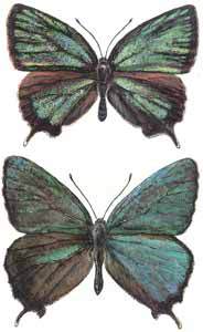 Мой мир - _5a_34.jpg