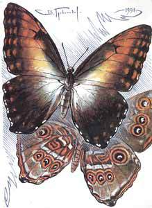 Мой мир - _5a_41.jpg