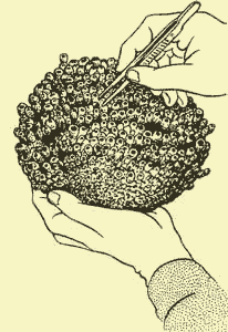 Мой мир - _6_11.png