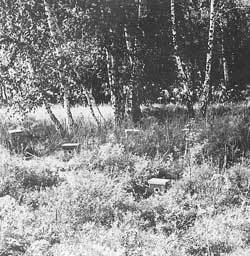 Мой мир - _6_17.jpg