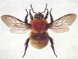 Мой мир - _6_20.jpg