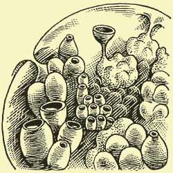 Мой мир - _6_22.png