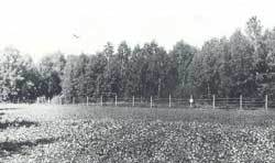 Мой мир - _6_31.jpg