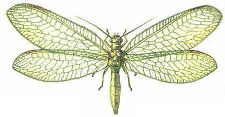 Мой мир - _6_56.jpg