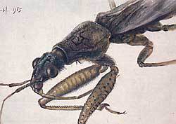 Мой мир - _6a_4.jpg