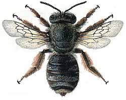 Мой мир - _6a_16.jpg