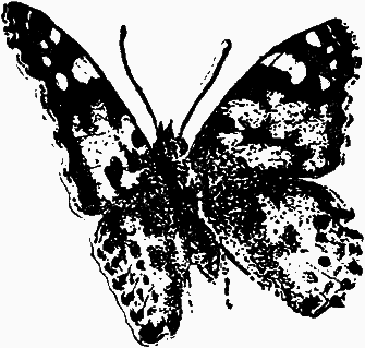 Тайны мира насекомых - i_023.png