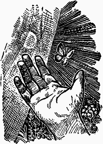 Тайны мира насекомых - i_024.png