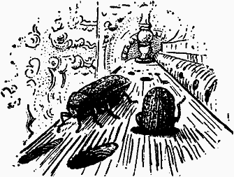 Тайны мира насекомых - i_058.png