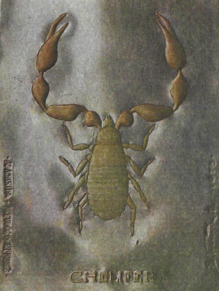 Тайны мира насекомых - i_162.jpg