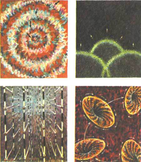 Тайны мира насекомых - i_166.jpg